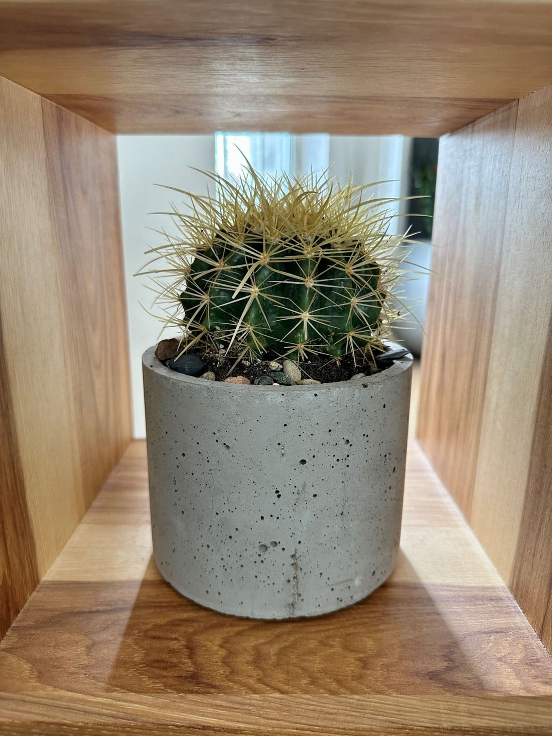 "Concrete Planters: Infusing Modern Elegance into Your Green Space" - Woodcookshop