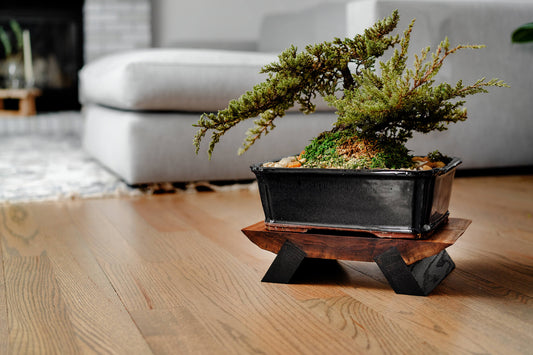 The Art of Bonsai and Its Perfect Companion: Woodcook’s Artisan Stands - Woodcookshop