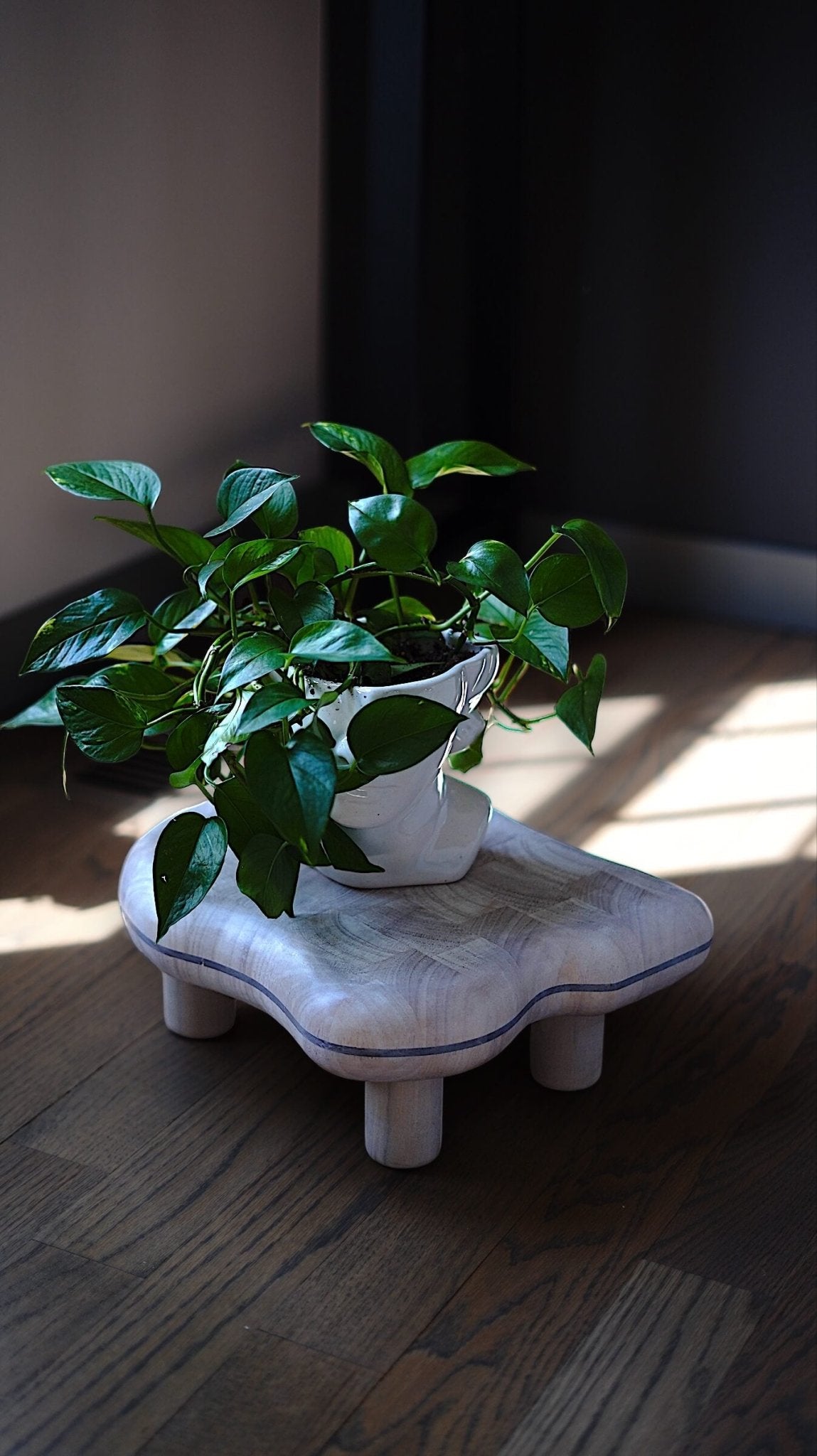 Bonsai Stand- Random shape design - Woodcookshop