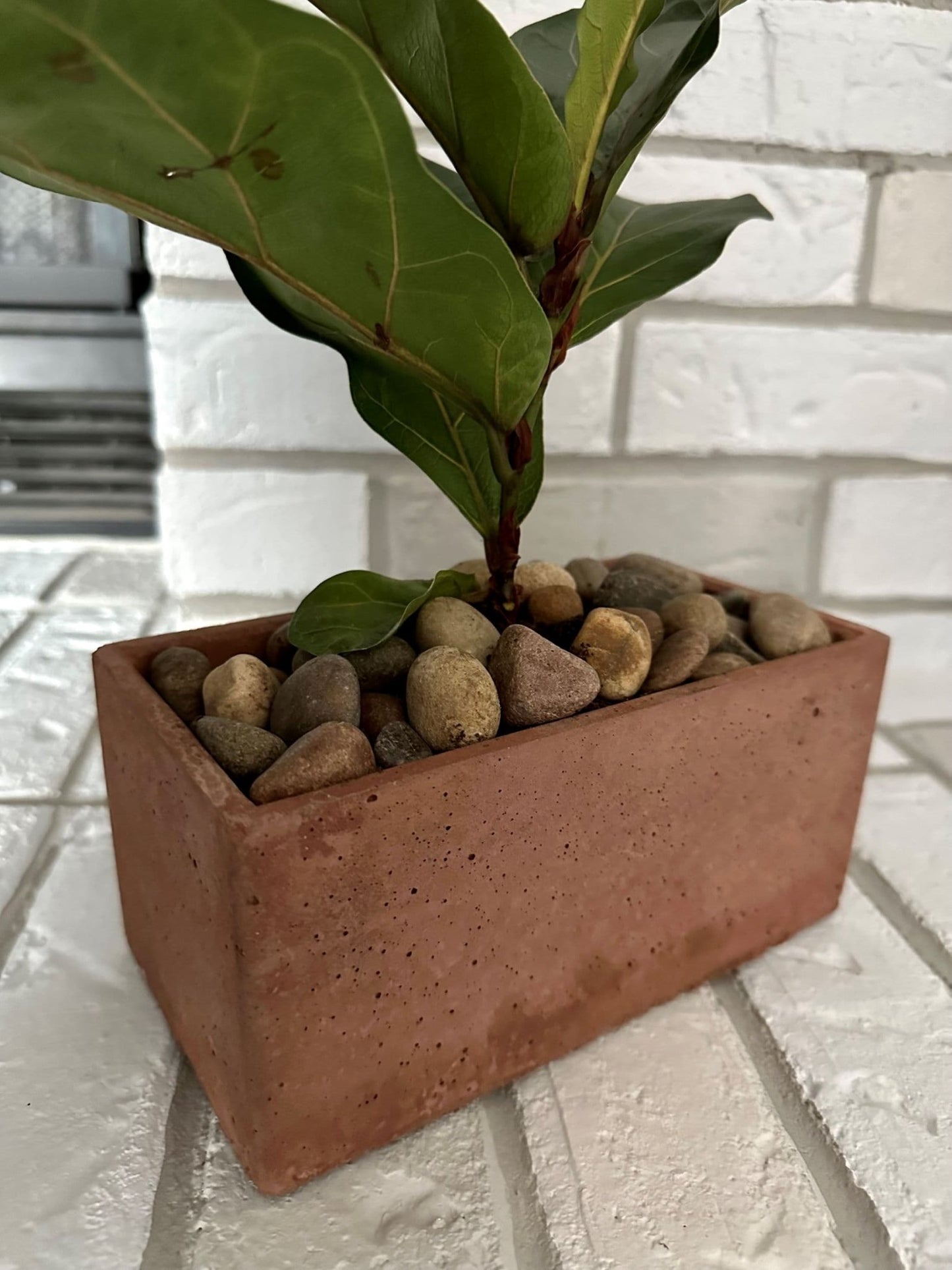 Concrete Planter 7 inch Rectangular - Woodcookshop