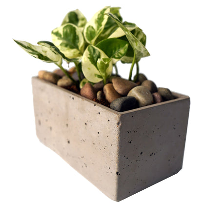 Concrete Planter 7 inch Rectangular - Woodcookshop