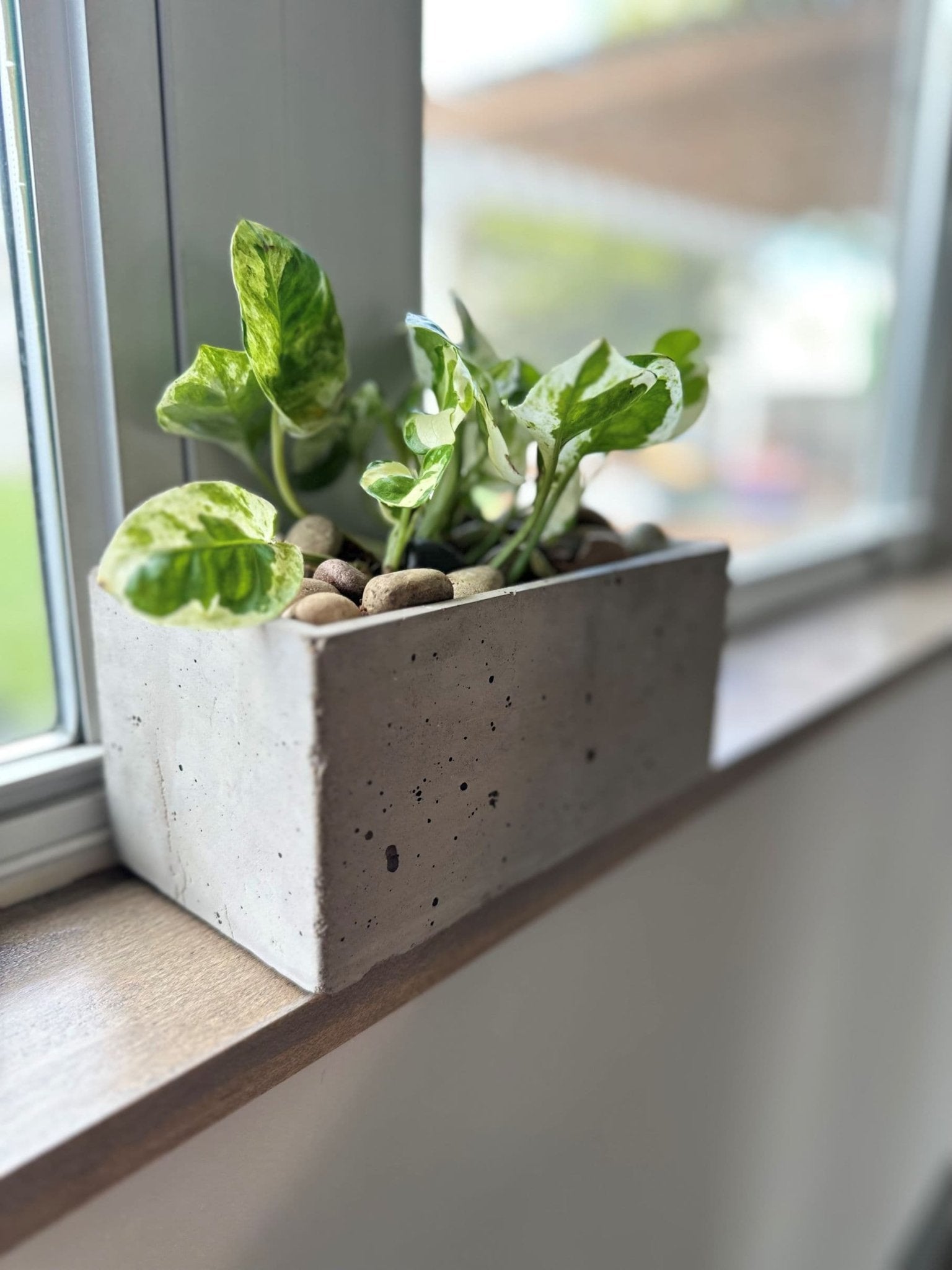 Concrete Planter 7 inch Rectangular - Woodcookshop