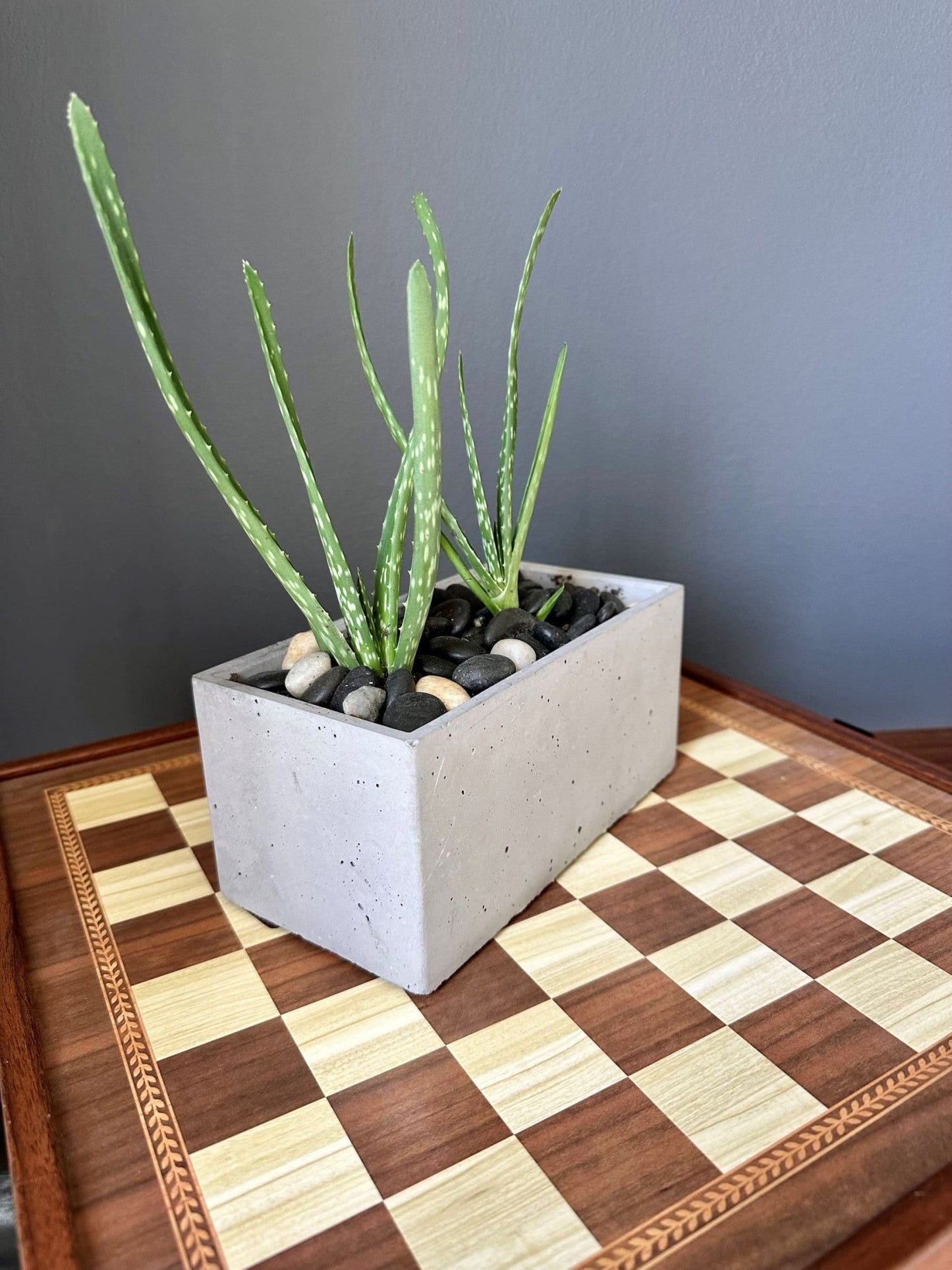 Concrete Planter 7 inch Rectangular - Woodcookshop