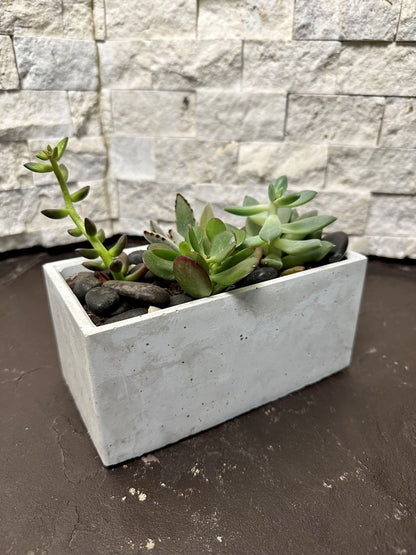 Concrete Planter 7 inch Rectangular - Woodcookshop