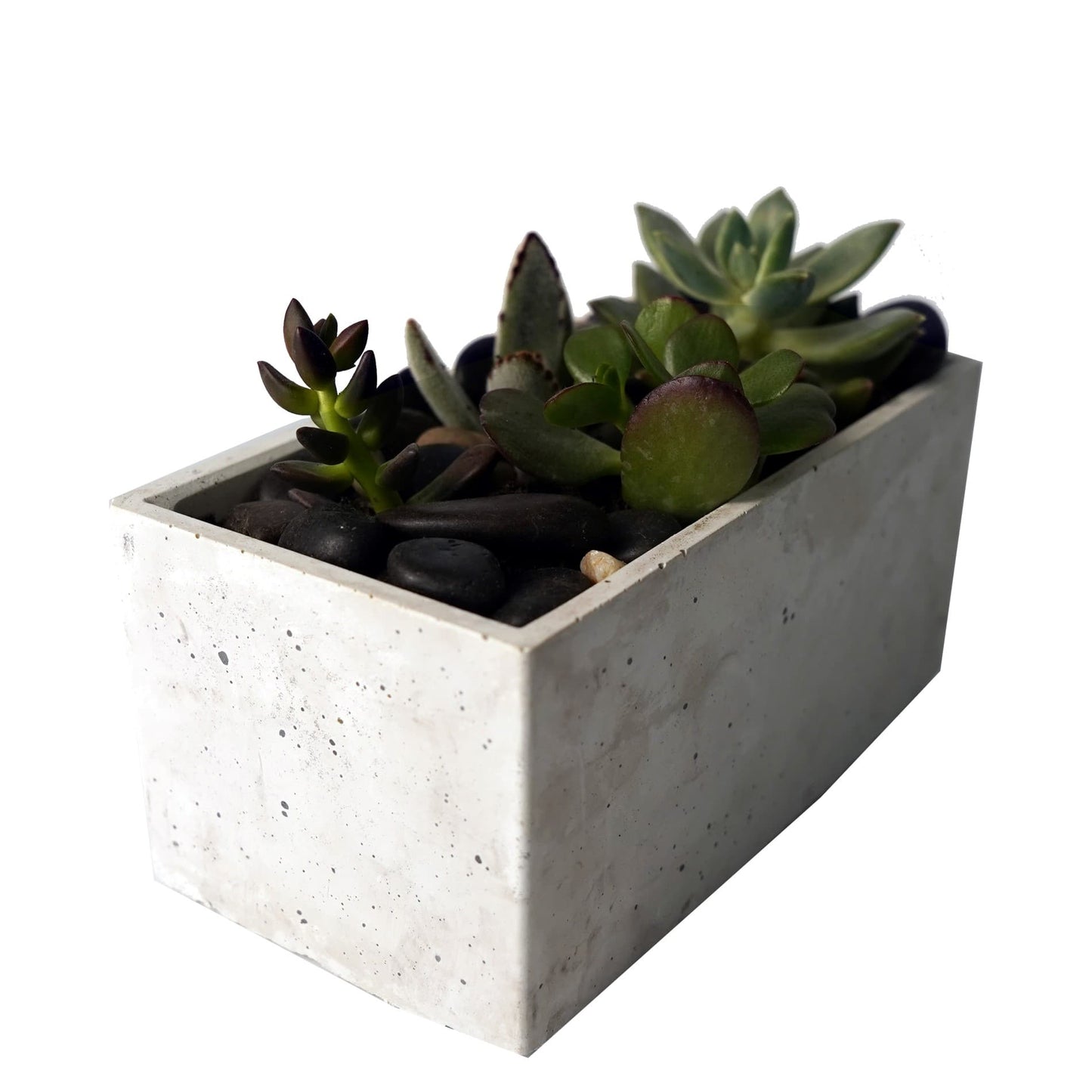 Concrete Planter 7 inch Rectangular - Woodcookshop