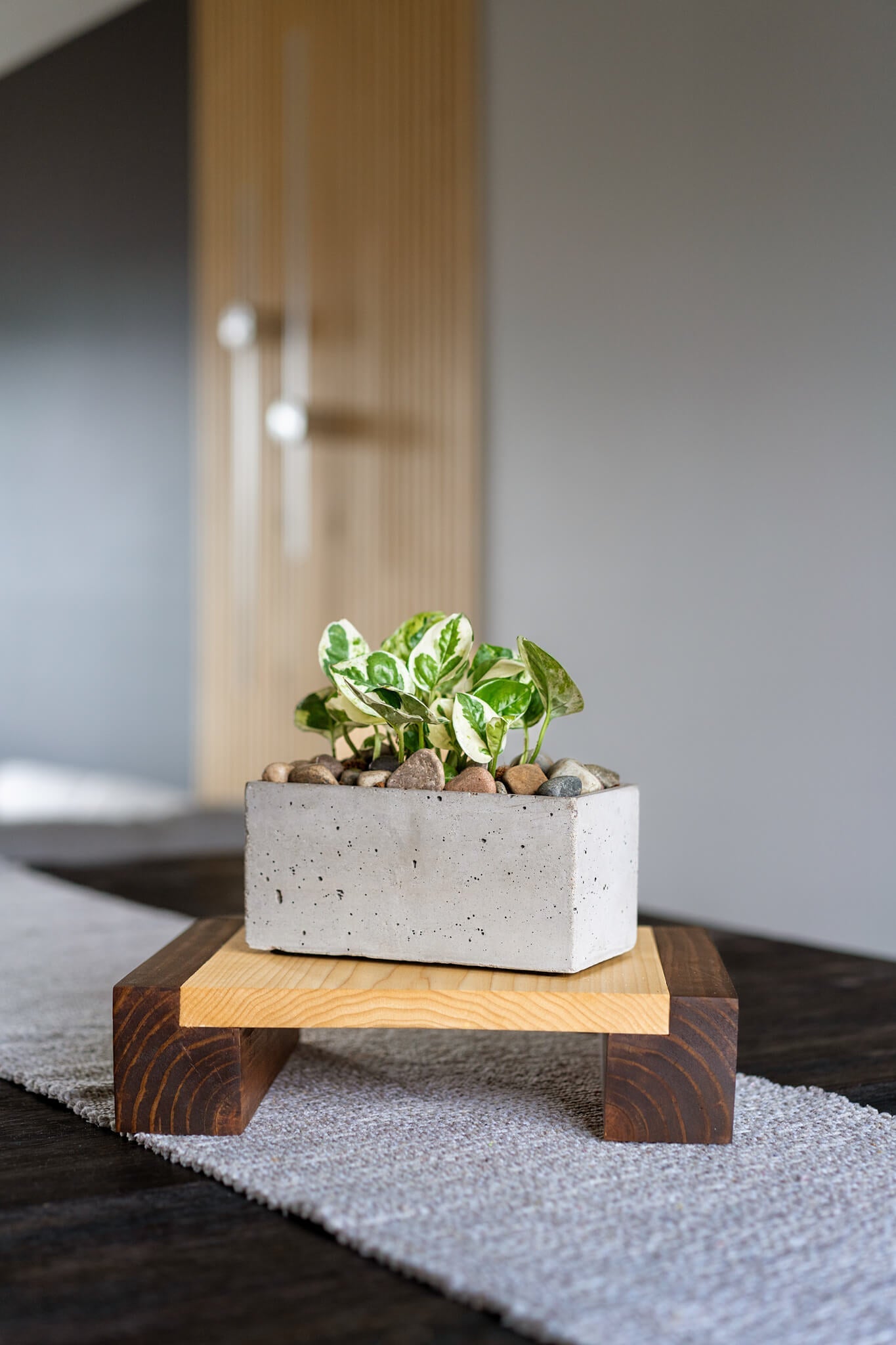 Image featuring a Poplar plant stand on a wooden bridge, holding a potted plant. The stand, with stained legs and finished with hard-wax oil, showcases a vivid wood grain pattern.