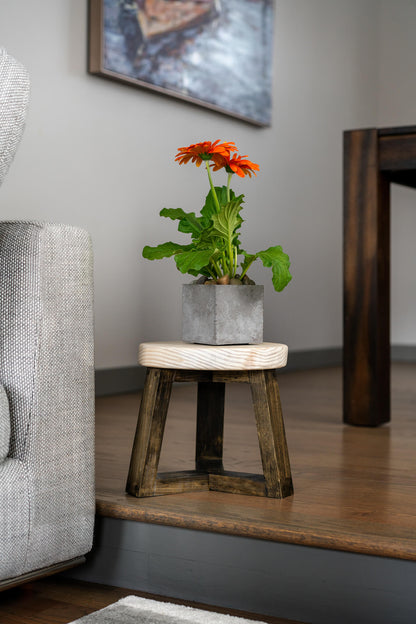 Image showing a tall rustic farmhouse plant stand, meticulously handcrafted from solid Pine wood. The stand, finished with natural Hard-wax Oil, is perfect for holding various plant pots, while its raised design safeguards floors from moisture damage.