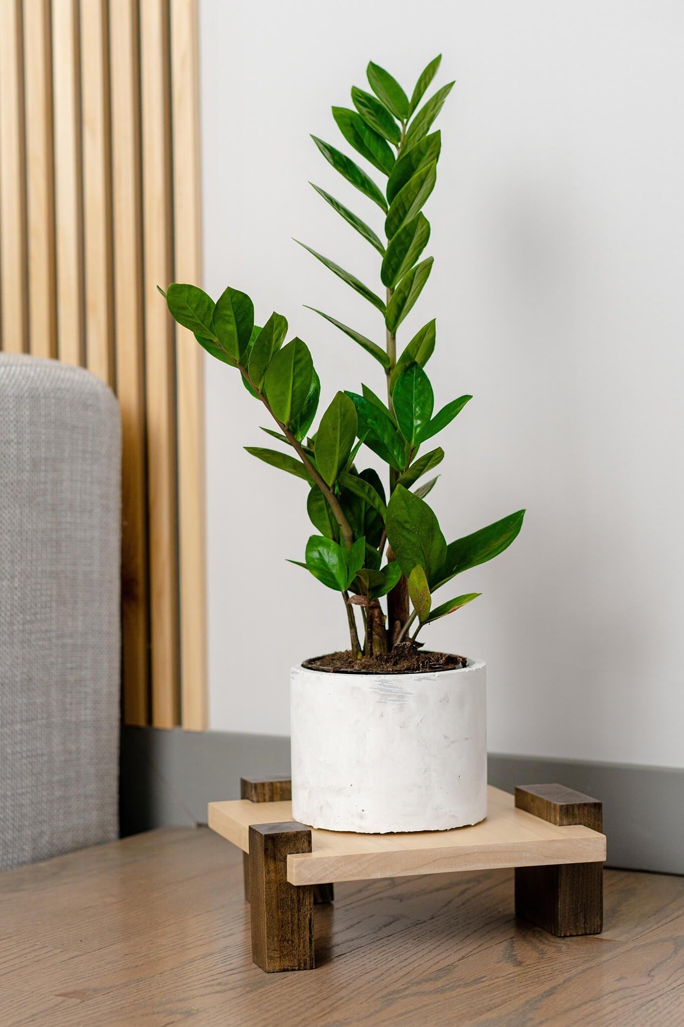 This is an image showcasing a beautifully handcrafted Woodcook Workshop Plant Stand with three distinct, uneven legs. Made of premium-quality wood, the stand boasts a deep, inviting finish that underscores the unique character of the wood grain. This stand serves as an ideal piece for displaying bonsai trees or other small houseplants, introducing a touch of natural elegance to any room's aesthetic.