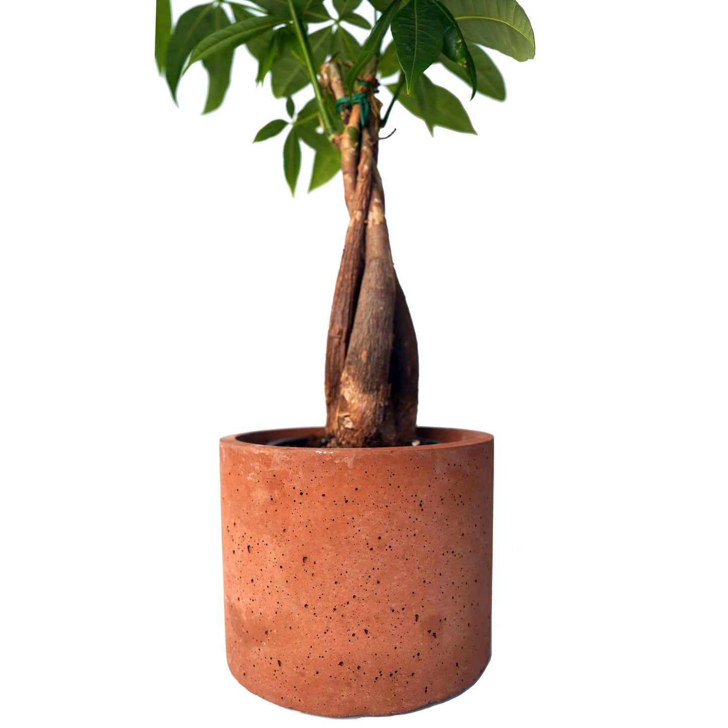 Round Concrete Planter 6 inch - Woodcookshop